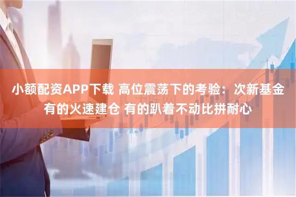 小额配资APP下载 高位震荡下的考验：次新基金有的火速建仓 有的趴着不动比拼耐心