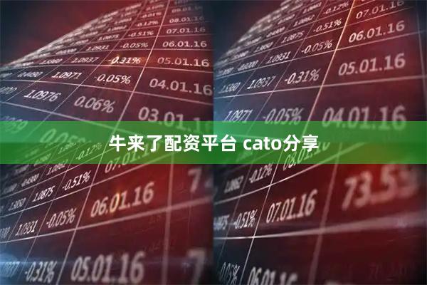 牛来了配资平台 cato分享