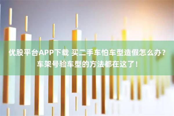 优股平台APP下载 买二手车怕车型造假怎么办？车架号验车型的方法都在这了！